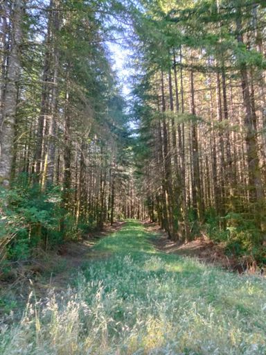 Some wonderful "roads less traveled" today