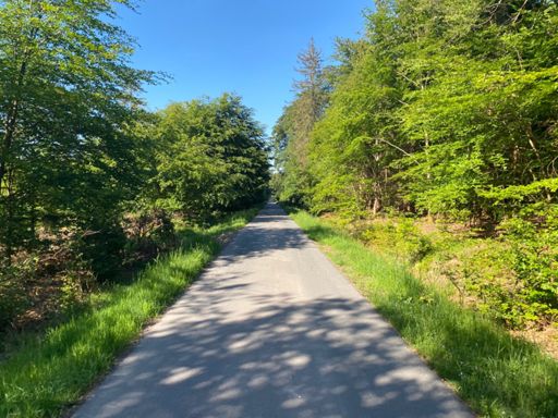 Zwischen L159 und dem Anstieg zum Idarkopf von Hochscheidt aus (Hauptstraße)