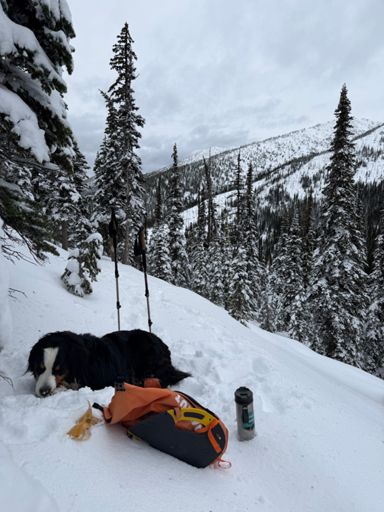 View north to Pyramid Benchmark 