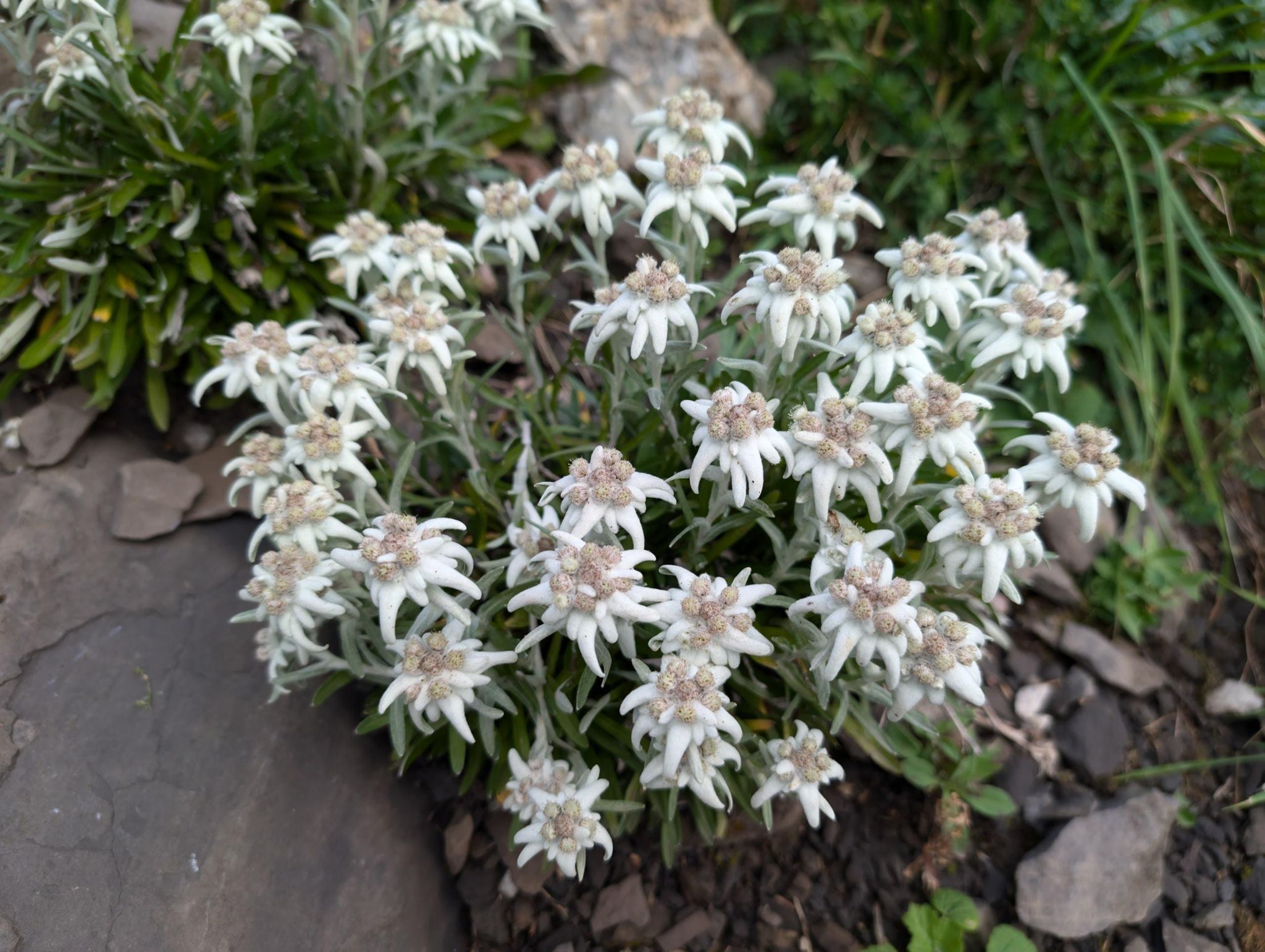 GR5 Part 1 - Day 3 photo 2