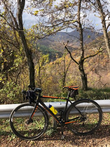 Little winter bike in wonderland