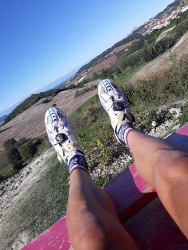 Panchina gigante di Sala Monferrato, oggi.