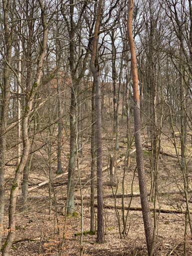 Verborgen im Wald: Die Burg Rabenstein, über Ostern wieder mit Mittelalter-Spektakel:-)