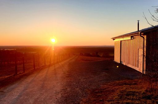 " As the Sun goes down"☀️