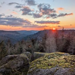 Sortie VTT dans l’après-midi