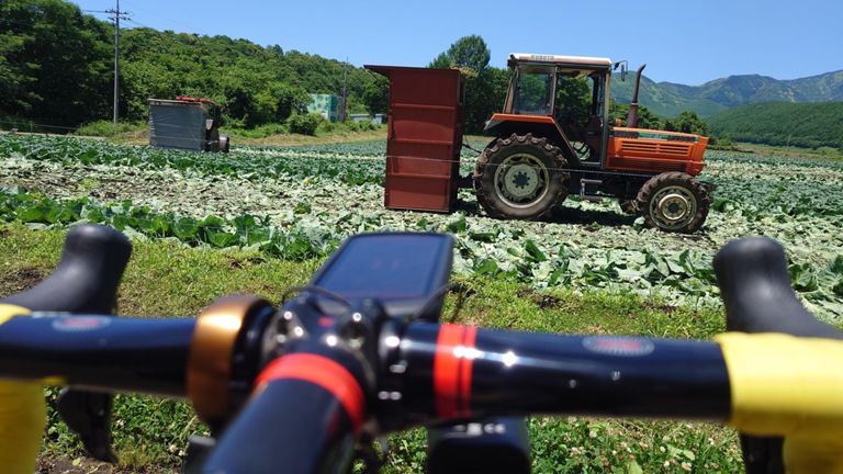 去年車で通ったときも思ったが、この辺りのトラクター、でっかい!　これはまだ小さい方...