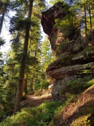 Balade photos à St Quirin