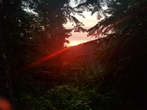 Night night. Finished about an hour later in the dark.