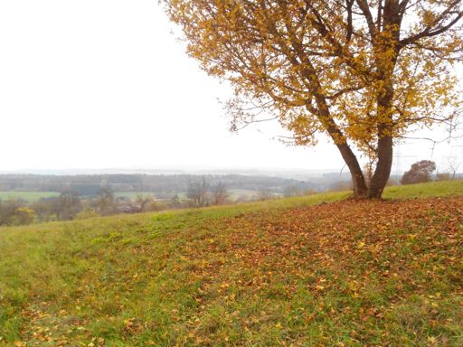 Oberhalb von Nordschwaben