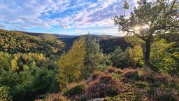 Sortie VTT dans l’après-midi