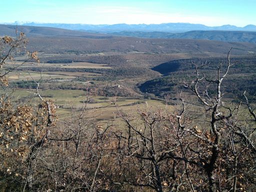 Notre dame des anges