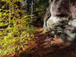 Dans ma prison dorée