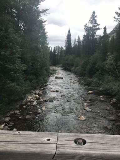Wall Creek Trail bridge. Oddly this is not Wall Creek but the Ashnola.