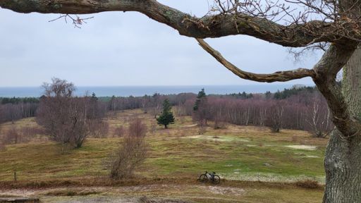 Harehøj i Tisvilde hegn med kig til Kattegat