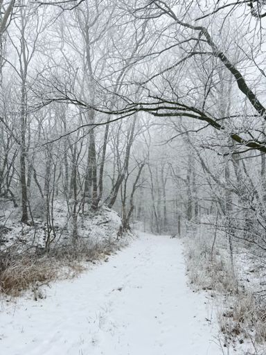 Normalerweise geht es hier weiter zum Weissen Hof