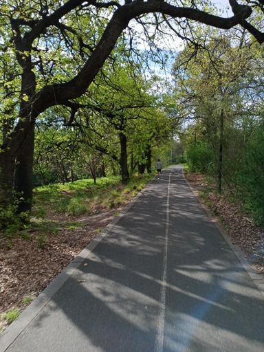 Sometimes you forget you're in a city of 5 Million! For a moment anyway . . .