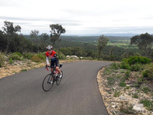 20% pour un pur sang!