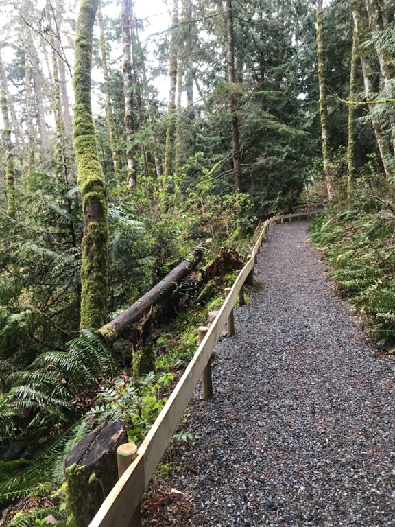 Nanaimo Lakes/ Boomerang Lake Dumont Loop 61.9 km Cycling Route on Strava