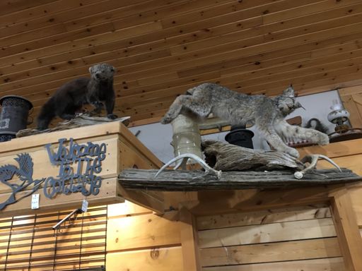 Hunters and Alcohol - Oh great!