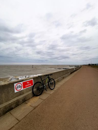 I mean, really what's the prob.