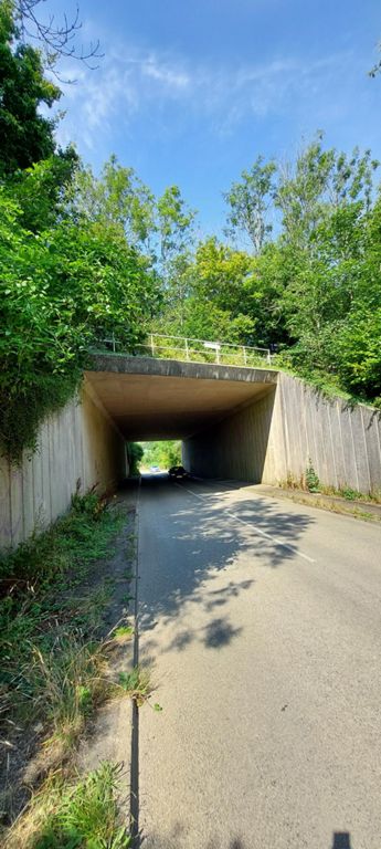 Bridge for  a wood - near St Erth