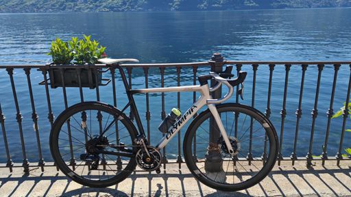 www.strava.com