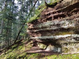 Footing du soir GPS HS