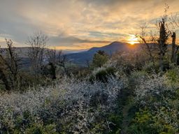 Sunset Rammstein Ortenbourg