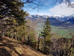 Gotterli, lac des 4 cantons