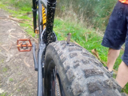 En mi vida una rama clavada en la rueda