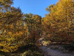 Boucle lac blanc  Hirschteine