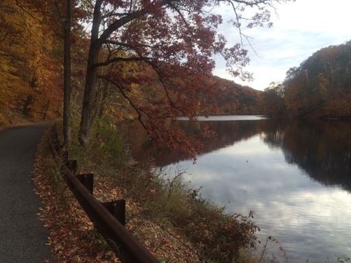 Lake road on a late fall day