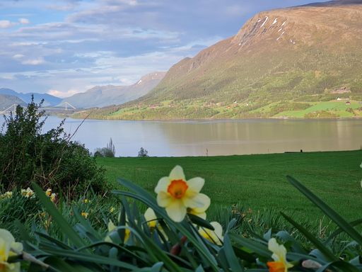 Nice utsikt i ettermiddagssolen