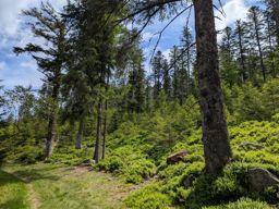 Rando fête des mères à la Maix