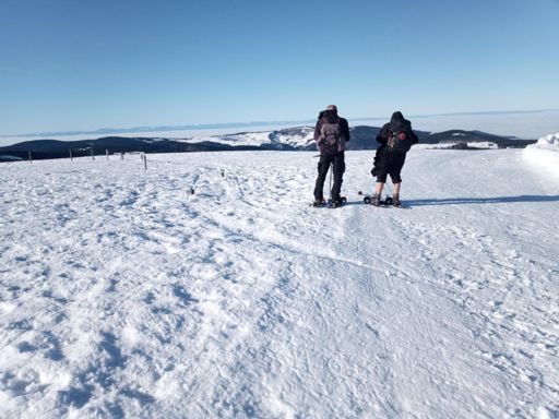 Blick zu den Vogesen.