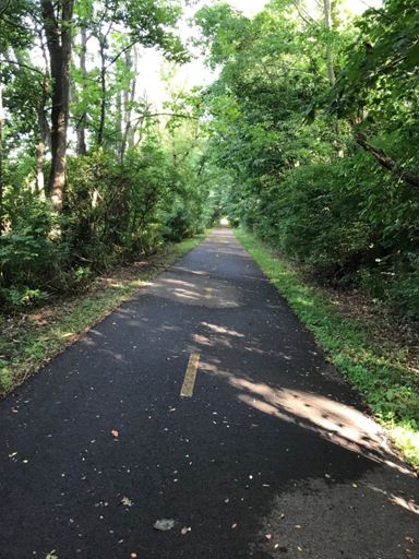 The B&O trail has its own "Tunnel of Trees"!!