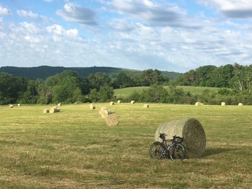 Ultima Carbon Limited. Outstanding in the Field.