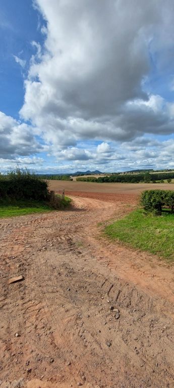 Looking straight west: The Three (Eildon) Sisters as in the painting at the Kingsknowes bistro last night.