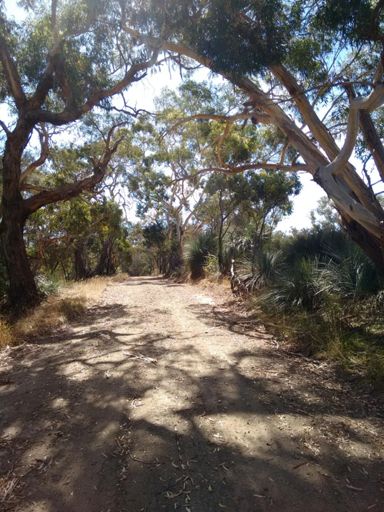 Found some shady roads