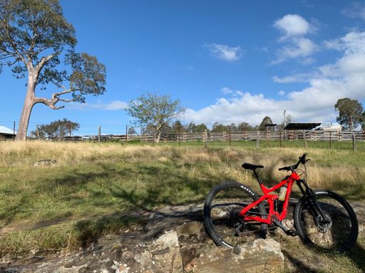 Just an awesome day at the gog