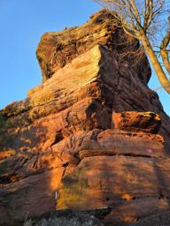 Dans les coins de Wuestenberg