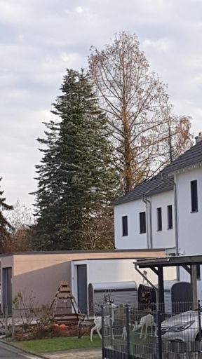 Kahl am Main_ID23728_UM_In den Erlichgärten 12