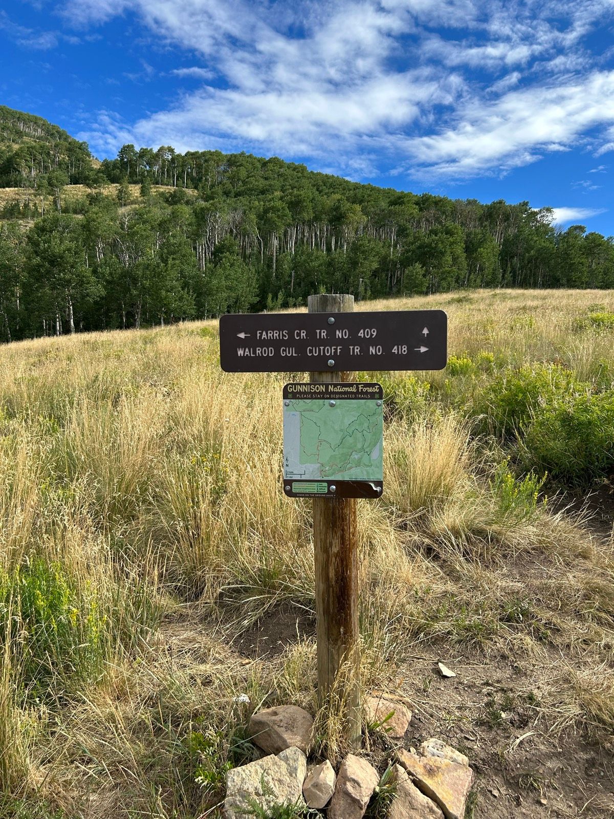 3 Mi Km