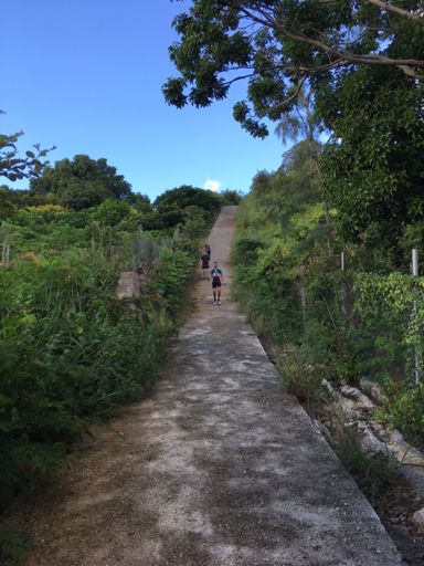 28%... en descente mais aussi en montée au retour ! Je crois que certains préfèrent avoir 28% dans le verre que sous les semelles !!