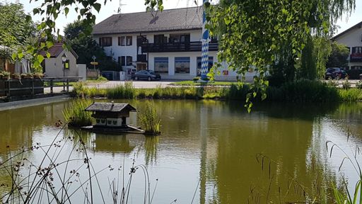 Dorfteich in Großdingharting mit weiß/blau