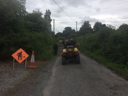 Westmeath traffic jam 
