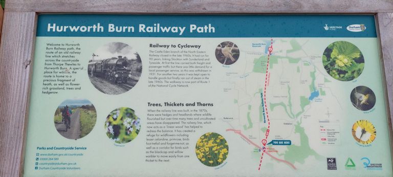 This Durham County Council information board about the Hurworth Burn Railway Path (HBRP), which is very useful, particularly as I have retrieved nothing about this title on the web, though there is info about the Castle Eden Walkway. The HBRP takes in parts of the Hurworth Burn Way and  of the Castle Eden Walkway over the A689.   Note the title of Millennium Cycleway Bridge given to the bridge over the A689.  Only found this title on this info board. As you will see with the next photo, the bridge has other assigned titles.