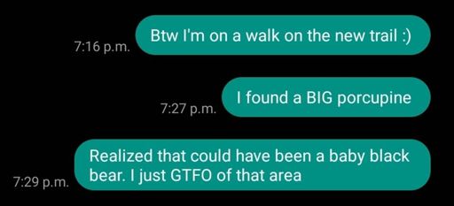 It was probably a porcupine.