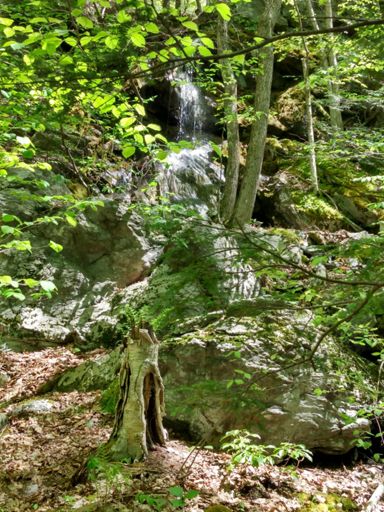 Definitely a fairy house!