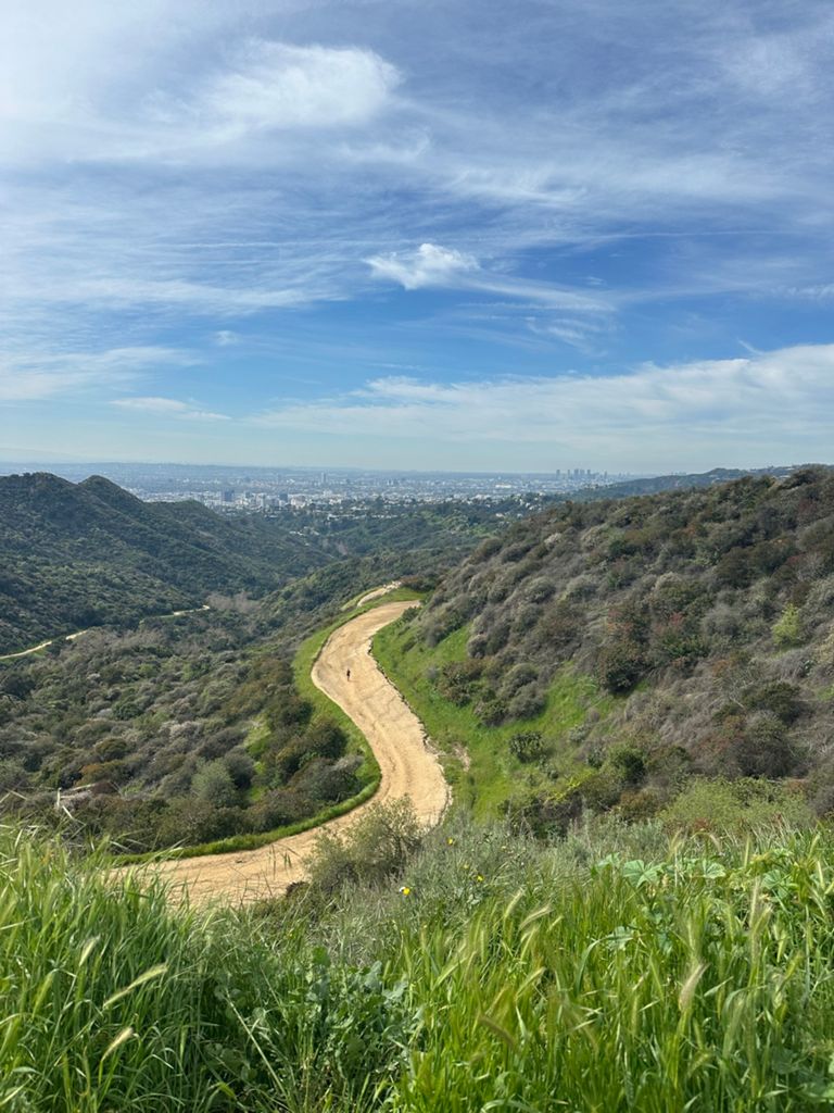 NBB run - Lake Hollywood photo 86